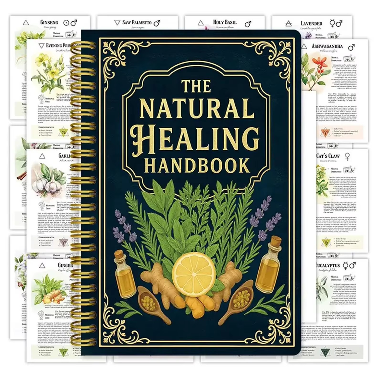 Health & Wellness Farmacia Inc - Healing Handbook By Luna Filby English