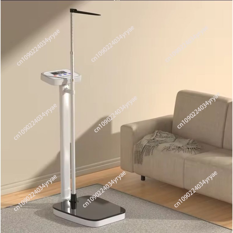 Smart body scale connection AP - огляд і ціна Digital Body Weight Scale