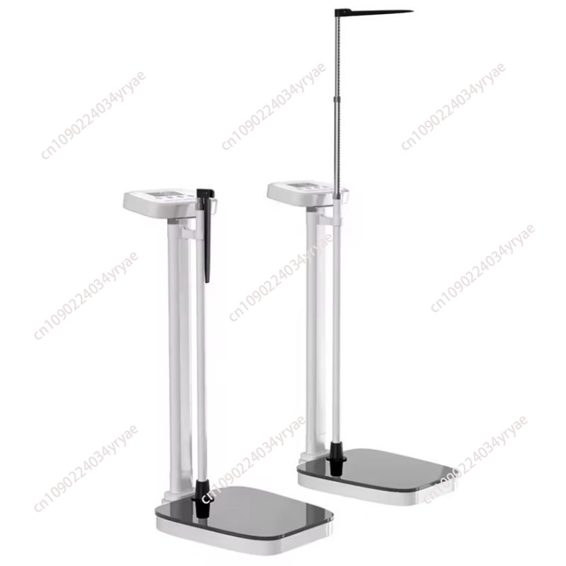 Smart body scale connection AP - огляд і ціна Digital Body Weight Scale