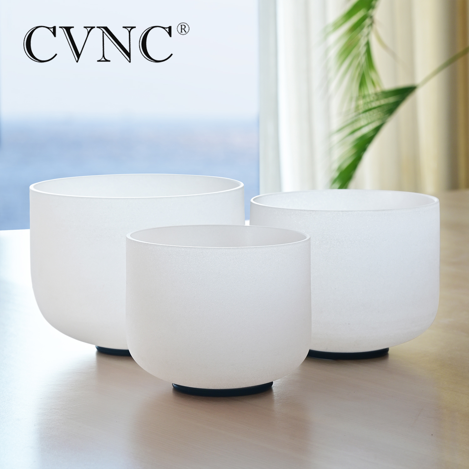 CVNC 8