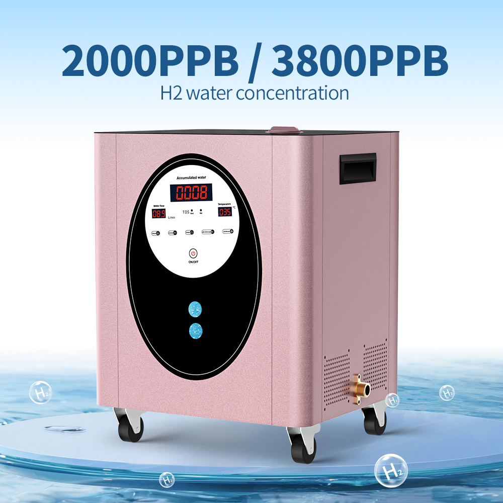 SUYZEKO Whole House Hydrogen W - огляд і ціна Health Wellness And Spa